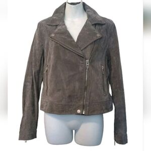 blank nyc Gray Suede Leather Moto Jacket Size: S